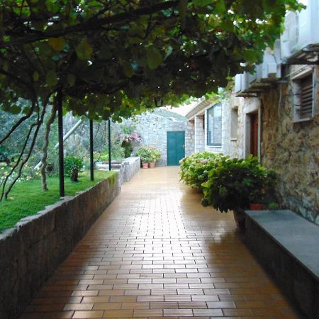 Villa Jelka Apartment Zaton  Luaran gambar