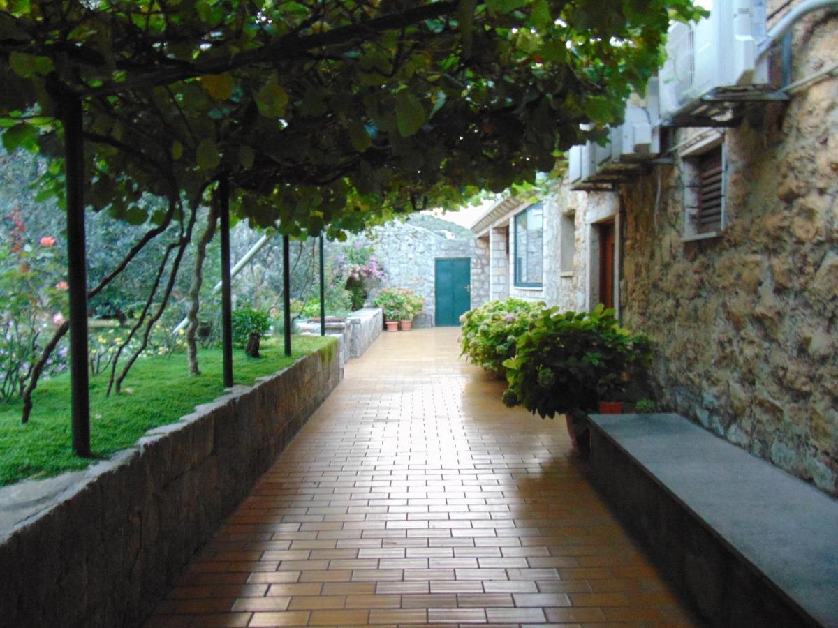 Villa Jelka Apartment Zaton  Luaran gambar