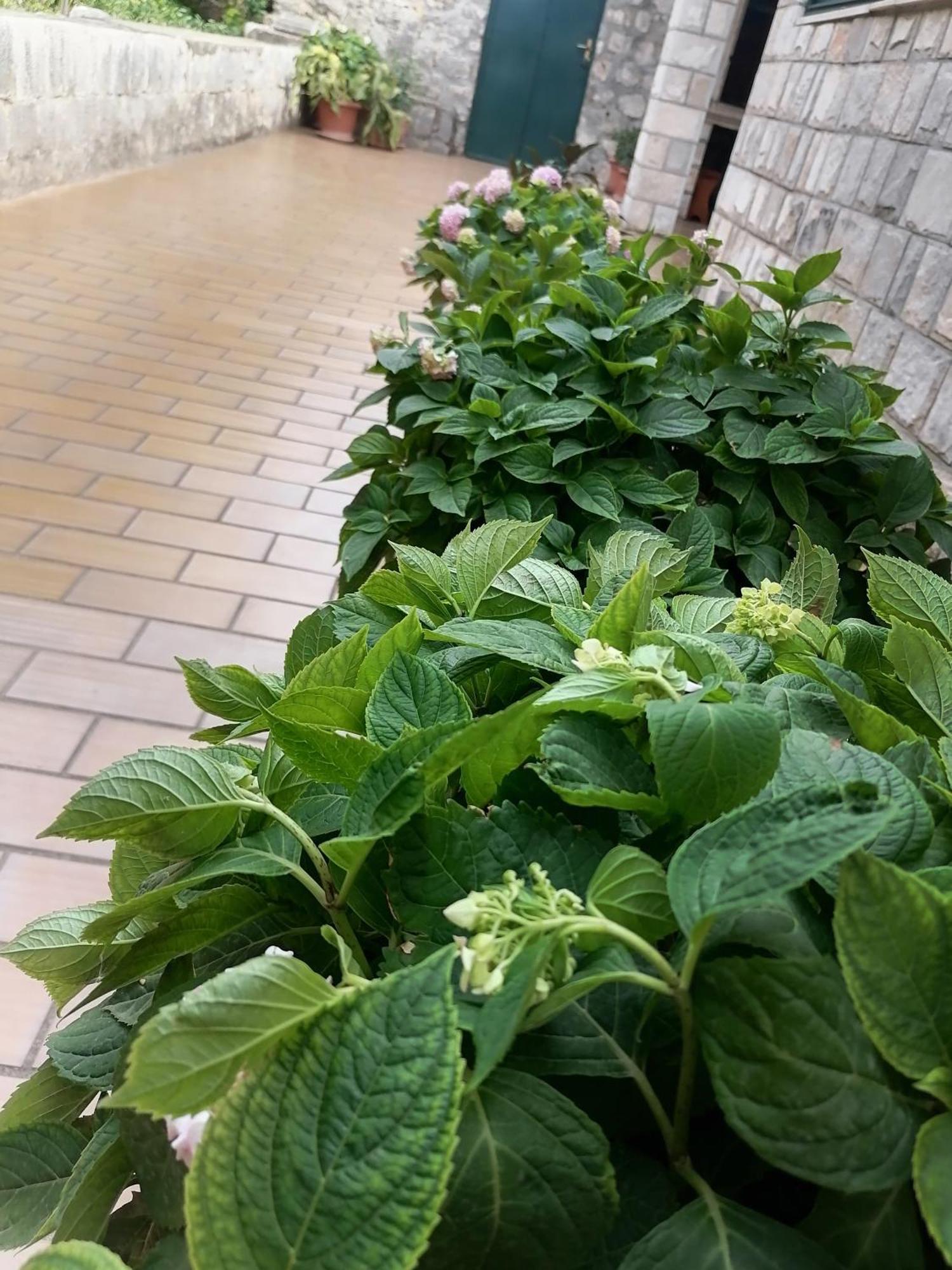 Villa Jelka Apartment Zaton  Bilik gambar